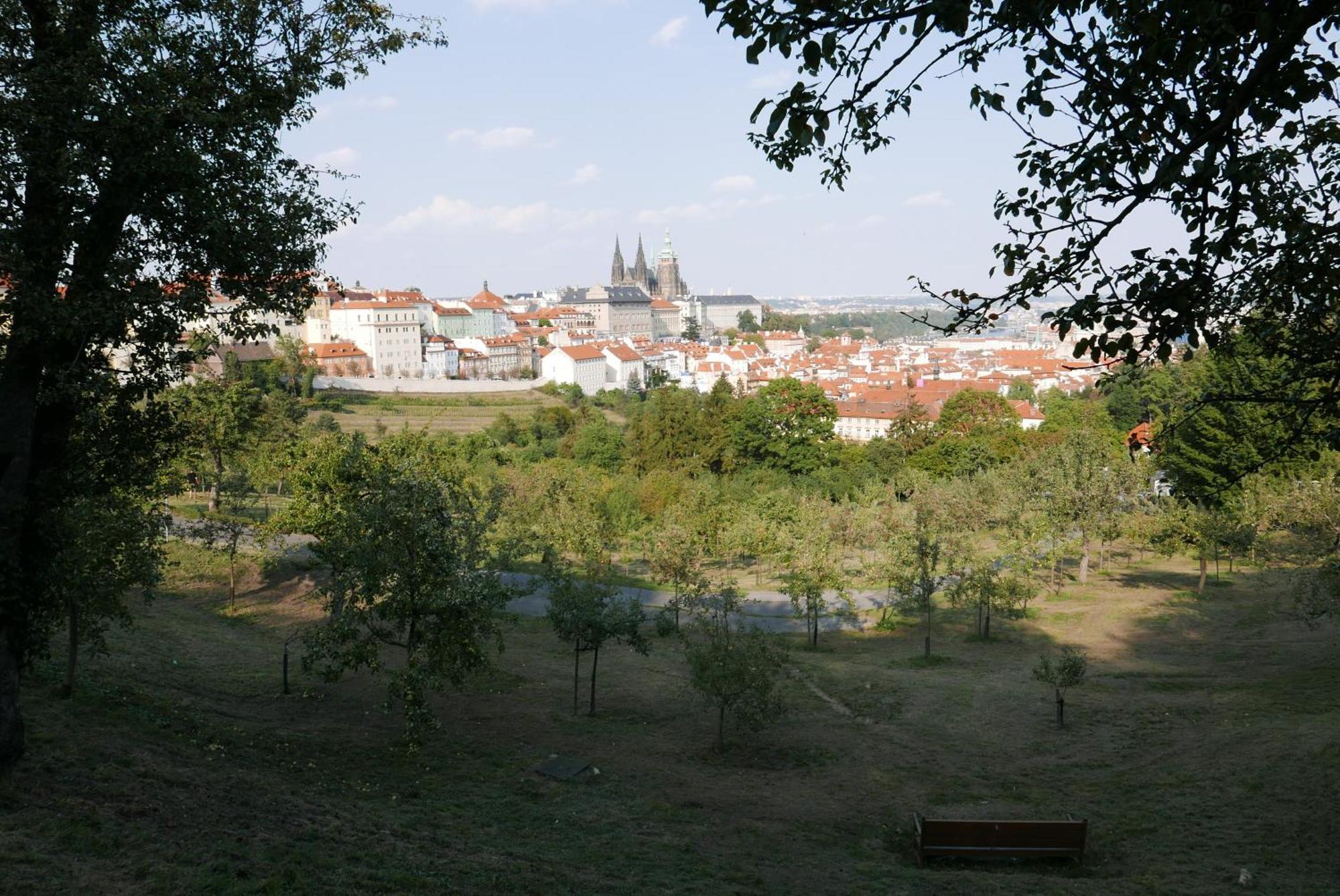 Grace Apartment By Prague Castle Bagian luar foto